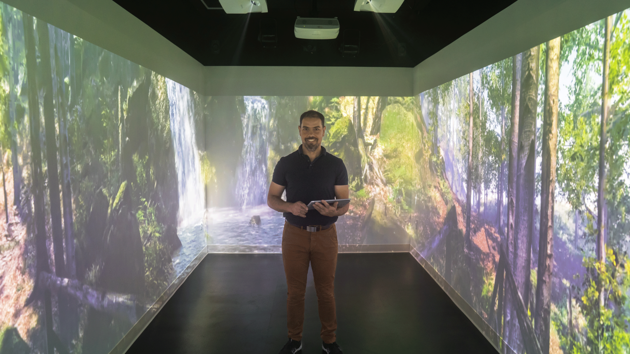 Immersive room article
