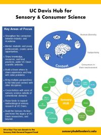 Sensroy HUB Research Expo 2024